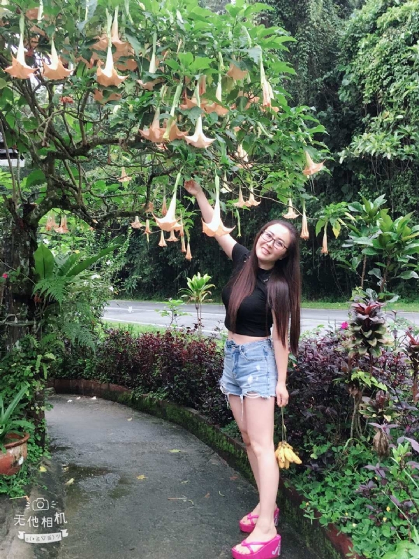 离异单身无子的第二张照片--柘荣相亲网