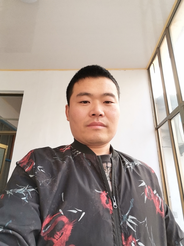 会飞的猪的第一张照片--柘荣相亲网