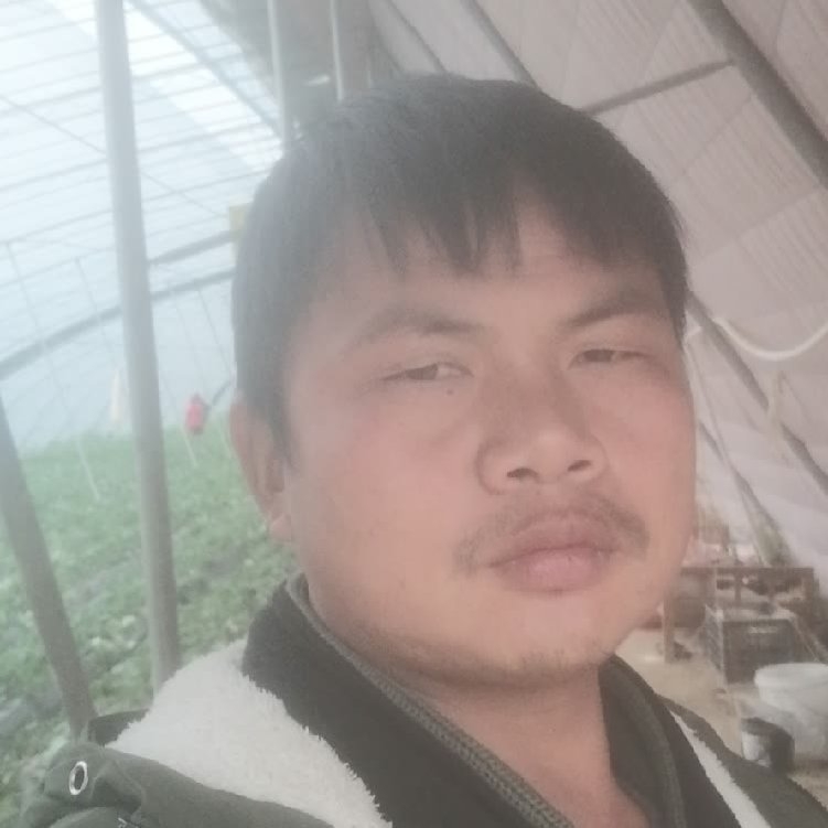 孤狼‘的第一张照片--柘荣相亲网