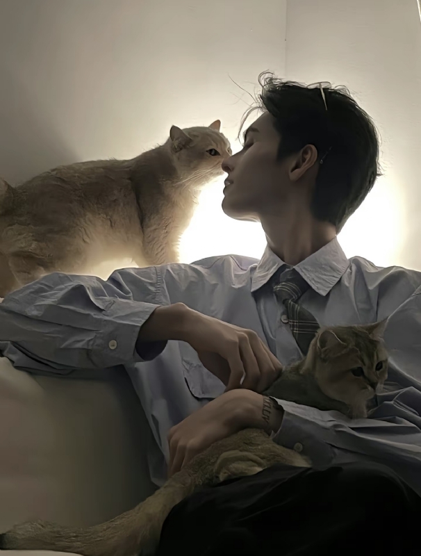 怪猫的第一张照片--柘荣相亲网