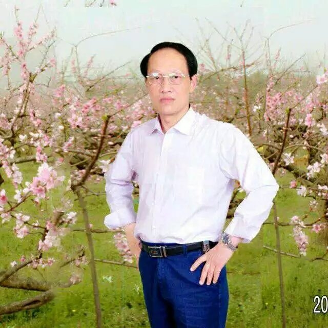 枫叶的第一张照片--柘荣相亲网